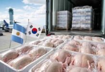 Corea del Sur reabrió su mercado para la carne aviar argentina Carne aviar argentina preparada para exportación junto a las banderas de Argentina y Corea del Sur en un centro logístico.