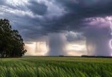 Chaparrones e inestabilidad avanzan sobre la región pampeana hasta el jueves Tormenta con lluvias intensas y un relámpago sobre un campo de trigo en la región pampeana argentina.