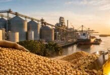 El complejo sojero sigue siendo clave para las exportaciones de Santa Fe Complejo agroindustrial y portuario de Santa Fe con soja, harina, aceite y un buque de carga vinculados a las exportaciones del sector.