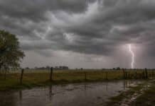 Córdoba cerró julio con lluvias escasas y muy desiguales Campo de Córdoba bajo lluvias aisladas y tormenta, en un julio con precipitaciones escasas y desiguales.