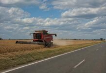 Bolsa de Cereales y Jefatura de Gabinete acordaron una agenda para mejorar la competitividad del agro Cosechadora Massey Ferguson trabajando en la cosecha de soja junto a un camino rural pavimentado, en un paisaje agrícola de la llanura argentina.