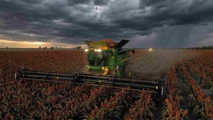 Cosechadora trabajando en un lote de sorgo bajo un cielo cubierto por nubes de tormenta en el campo argentino.