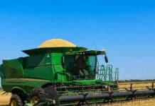 Arroz: la producción argentina cayó 14% en 2025/26 Cosechadora trabajando en un lote de arroz bajo cielo despejado, con la tolva cargada de granos.