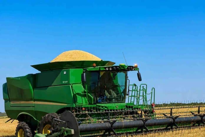 Cosechadora trabajando en un lote de arroz bajo cielo despejado, con la tolva cargada de granos.
