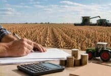 El agro recibe más crédito, pero en granos son apenas US$32 por tonelada Productor gestionando financiamiento frente a un campo en cosecha, con maquinaria agrícola y monedas como representación del crédito al agro.