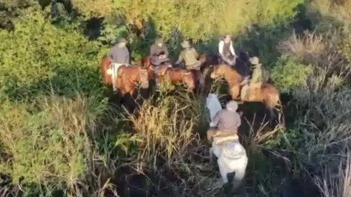 Ituzaingó, Corrientes, Policía Rural y Ecológica, Drones, Cuatreros, Abigeato, Caza furtiva, Esteros, Seguridad rural, NEA, Operativo policial, Tecnología de vigilancia