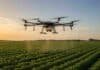 Drones en el agro: SENASA llevará la regulación al Congreso Internacional de Tucumán Dron agrícola sobrevolando un cultivo en hileras durante una tarea de agricultura de precisión en un campo.