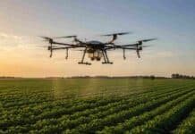 Drones en el agro: SENASA llevará la regulación al Congreso Internacional de Tucumán Dron agrícola sobrevolando un cultivo en hileras durante una tarea de agricultura de precisión en un campo.
