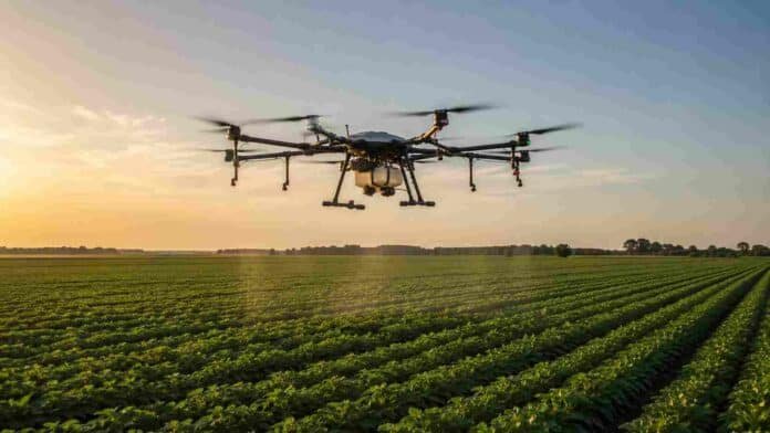 Dron agrícola sobrevolando un cultivo en hileras durante una tarea de agricultura de precisión en un campo.