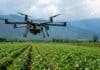 Drones, sensores e IA: INTA mostrará nuevas herramientas para producir con mayor precisión Dron agrícola sobre un cultivo en Tucumán durante una aplicación de agricultura de precisión con sensores y tecnología digital.