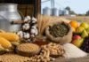Siete economías regionales siguen en rojo y el maní logra salir de la zona crítica Producciones agropecuarias y regionales de Argentina representadas por granos, leche, algodón, yerba mate, frutas, arroz, miel y maní.
