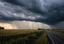 El Niño dominará el clima hasta octubre y eleva la vigilancia en el Litoral Frente de tormenta con lluvias intensas avanzando sobre un campo y una ruta rural del Litoral argentino.