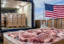 Por qué Argentina no accede a la nueva cuota de 300.000 toneladas de carne que abrió Trump Cajas de carne vacuna envasada para exportación frente a un contenedor de carga refrigerado, con una bandera de Estados Unidos al fondo.