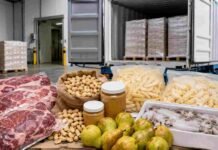 Exportaciones con sello argentino crecieron 15% y la carne quedó al frente Productos agroalimentarios argentinos listos para exportación frente a un contenedor de carga, con carne vacuna, maní, papa prefrita congelada, calamar y peras.