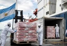 Las exportaciones de carne bovina sumaron US$ 461,9 millones en julio, un 30% más que hace un año Carga de carne vacuna argentina en contenedores refrigerados para su exportación desde un puerto.