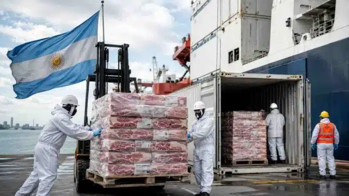 exportaciones-carne-argentina Carga de carne vacuna argentina en contenedores refrigerados para su exportación desde un puerto.