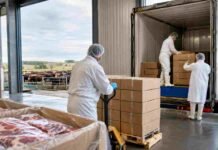 China concentra el 53% de la carne argentina y las exportaciones crecen en volumen y valor Operarios cargan cajas de carne bovina en un transporte refrigerado para exportación desde una planta frigorífica argentina.