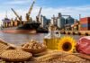Las exportaciones de Santa Fe crecieron 28,2% y superaron los US$ 9.200 millones en el primer semestre Exportaciones de Santa Fe con soja, trigo, aceite, girasol y carne bovina frente a un puerto de cargas.