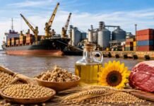 Las exportaciones de Santa Fe crecieron 28,2% y superaron los US$ 9.200 millones en el primer semestre Exportaciones de Santa Fe con soja, trigo, aceite, girasol y carne bovina frente a un puerto de cargas.