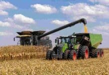 Récord en maíz: una Fendt IDEAL 9T cosechó 2.599 toneladas en 24 horas Cosechadora Fendt IDEAL 9T descargando maíz sobre una tolva durante una jornada de cosecha en Brasil.