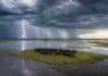 El Gobierno nacional coordinó un nuevo encuentro federal para prevenir los efectos de El Niño Fuerte tormenta eléctrica sobre un campo inundado, con un rodeo Angus negro y colorado agrupado en una lomada rodeada de agua.