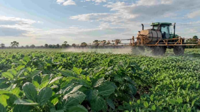 Aplicación de fertilización foliar sobre un cultivo en pleno desarrollo mediante una pulverizadora agrícola en el campo.