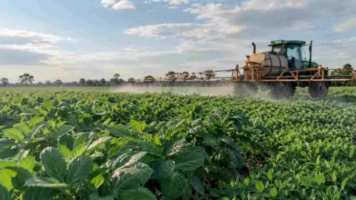 fertilizacion-foliar-cultivos-inta Aplicación de fertilización foliar sobre un cultivo en pleno desarrollo mediante una pulverizadora agrícola en el campo.