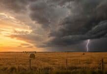 El agro, ante un cambio de tiempo: tormentas y fuerte descenso térmico Frente de tormenta con un relámpago sobre un campo de la llanura pampeana al atardecer.