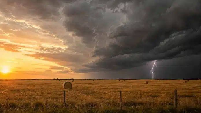 Frente de tormenta con un relámpago sobre un campo de la llanura pampeana al atardecer.