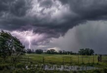 Regresan las tormentas a cinco provincias: prevén granizo y hasta 50 mm Tormenta fuerte sobre un campo rural del norte argentino, con nube oscura, cortina de lluvia, relámpago y árboles inclinados por el viento.