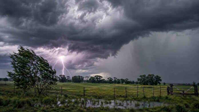 fuertes-nea-entre-rios-campo-rural Tormenta fuerte sobre un campo rural del norte argentino, con nube oscura, cortina de lluvia, relámpago y árboles inclinados por el viento.
