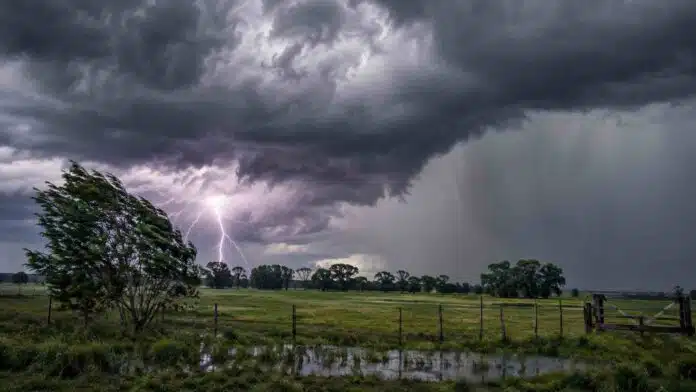 fuertes-nea-entre-rios-campo-rural Tormenta fuerte sobre un campo rural del norte argentino, con nube oscura, cortina de lluvia, relámpago y árboles inclinados por el viento.