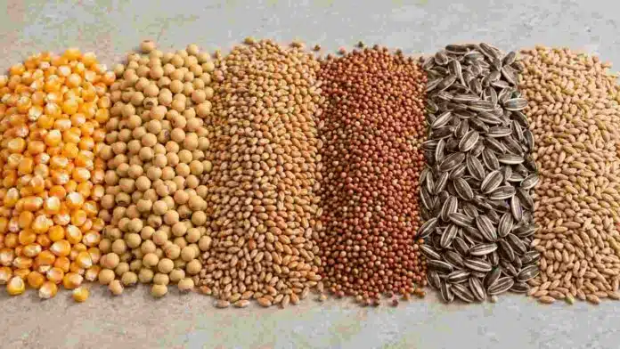 granos-mercado-agricola-horizontal