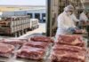 La industria cárnica de Entre Ríos respaldó el financiamiento y funcionamiento del IPCVA Planta frigorífica de la industria cárnica argentina con operarios procesando y envasando cortes de carne vacuna