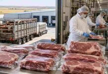 La industria cárnica de Entre Ríos respaldó el financiamiento y funcionamiento del IPCVA Planta frigorífica de la industria cárnica argentina con operarios procesando y envasando cortes de carne vacuna