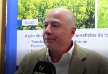 Del barbecho a la renta: así crecen colza, cártamo y camelina Jorge Bassi, de Bunge Argentina, durante la entrevista con Ruralnet sobre colza, cártamo y camelina en el Congreso AAPRESID 2026