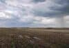 Córdoba: Julio dejó lluvias escasas y una recarga hídrica limitada para los cultivos Campo agrícola con lluvias localizadas y acumulados irregulares durante julio de 2026.