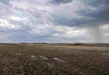 Córdoba: Julio dejó lluvias escasas y una recarga hídrica limitada para los cultivos Campo agrícola con lluvias localizadas y acumulados irregulares durante julio de 2026.