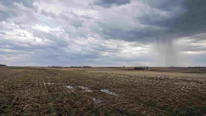 lluvias-desparejas-julio-campo-agricola Campo agrícola con lluvias localizadas y acumulados irregulares durante julio de 2026.