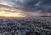 Avanzan las lluvias por el Litoral y vuelven las heladas al centro del país Campo de trigo con escarcha mientras una tormenta se aleja sobre el horizonte en la región pampeana argentina.