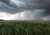 Septiembre arranca con fuertes contrastes: exceso de lluvias al norte y riesgo de heladas Tormenta con lluvias intensas avanzando sobre un campo agrícola, en un escenario asociado a El Niño y al aumento de precipitaciones previsto para septiembre.