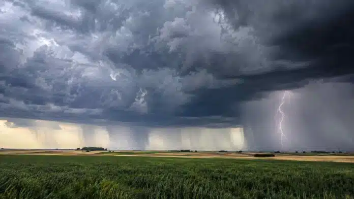 Tormenta con intensas cortinas de lluvia y un fuerte relámpago sobre campos agrícolas de la Argentina