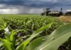 Chicharrita, clima y precios: los tres factores que definirán la siembra de maíz 2026/27 chicharrita sobre el maíz, frente de lluvia y abastecimiento de la sembradora.