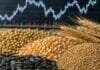 Los granos gruesos sostuvieron el mercado: firmeza en maíz y mejora para la soja Soja, maíz, trigo y girasol en primer plano con un gráfico de mercado desenfocado al fondo.