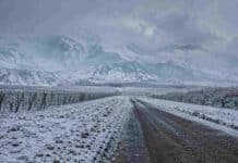 El SMN alerta por nevadas, viento y Zonda en Cuyo y el NOA Tormenta de nieve sobre la cordillera de los Andes en Cuyo, con viñedos y frutales cubiertos de nieve.