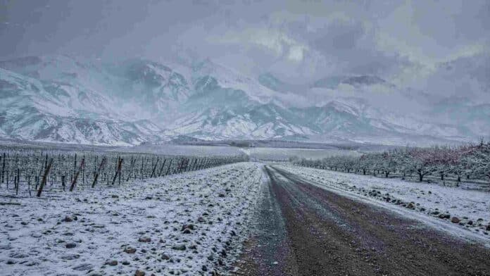 nevadas-cordillera-cuyo-argentina-agosto-2026 Tormenta de nieve sobre la cordillera de los Andes en Cuyo, con viñedos y frutales cubiertos de nieve.