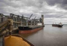 Una medida de fuerza frena la operatoria portuaria y amenaza las exportaciones Buques cerealeros detenidos junto a una terminal agroexportadora por el paro de prácticos en los puertos argentinos.