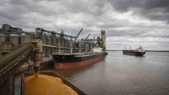 Buques cerealeros detenidos junto a una terminal agroexportadora por el paro de prácticos en los puertos argentinos.