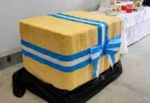 El queso de una tonelada que será rematado por porciones en Córdoba Queso de 1.000 kilos elaborado en Villa Nueva, decorado con cintas celestes y blancas para su subasta solidaria.
