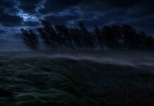 Ráfagas de 100 km/h, tormentas y nieve: el SMN pone bajo alerta a 7 provincias Fuertes ráfagas de viento levantan polvo y doblan cultivos y árboles en un campo de la Argentina.